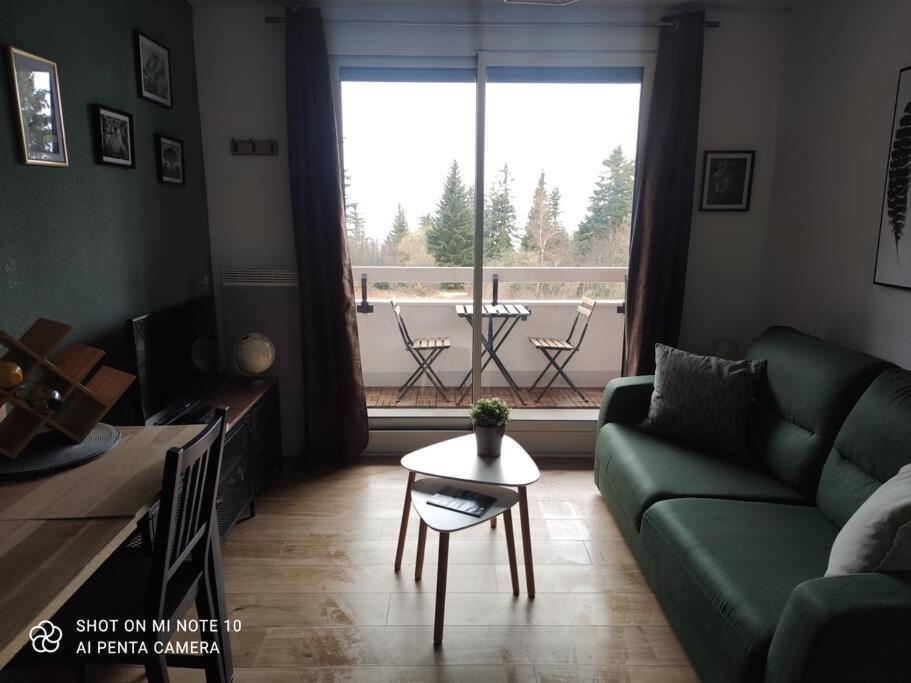 Beau Studio Cabine Cozy Chamrousse Extérieur photo